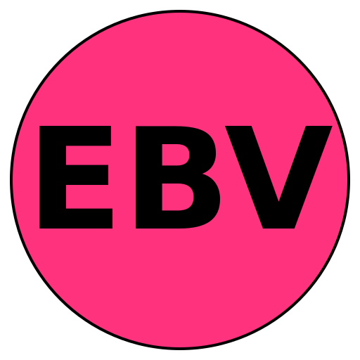 weddingvisionelite.beauty favicon